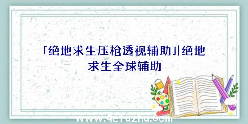 「绝地求生压枪透视辅助」|绝地求生全球辅助